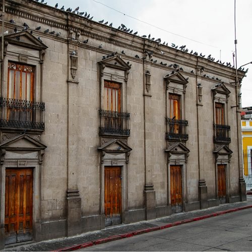 casa noj cuadrada